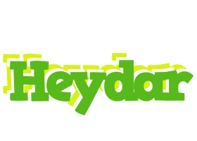 Heydar picnic logo