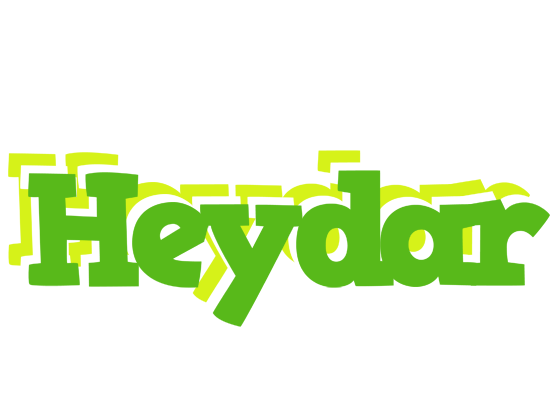 Heydar picnic logo