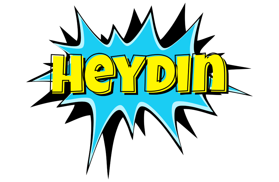Heydin amazing logo