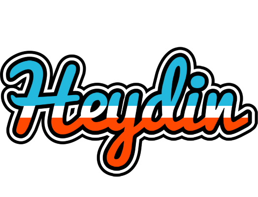 Heydin america logo