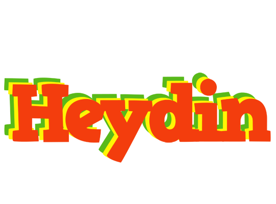 Heydin bbq logo
