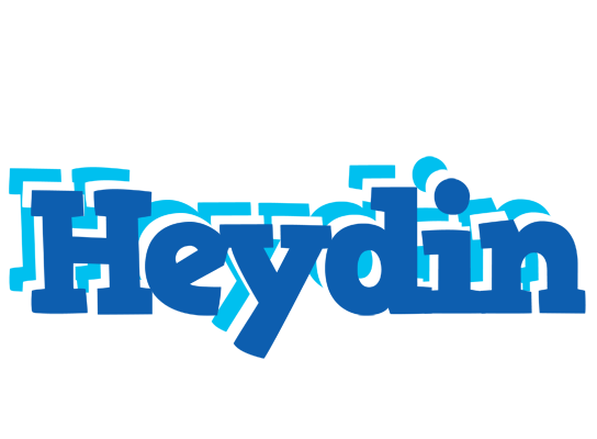Heydin business logo