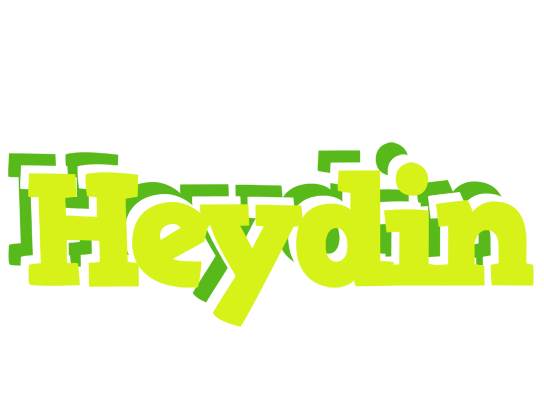 Heydin citrus logo