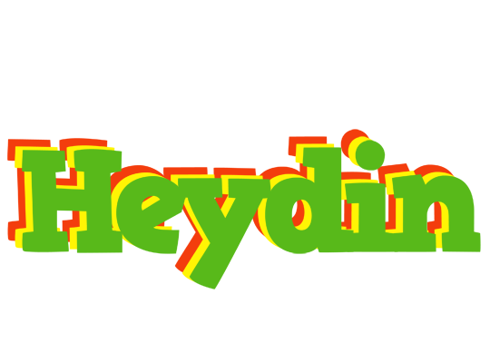 Heydin crocodile logo