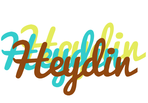 Heydin cupcake logo