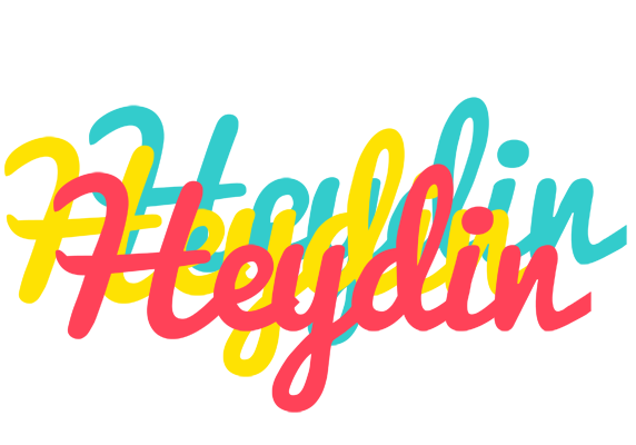Heydin disco logo
