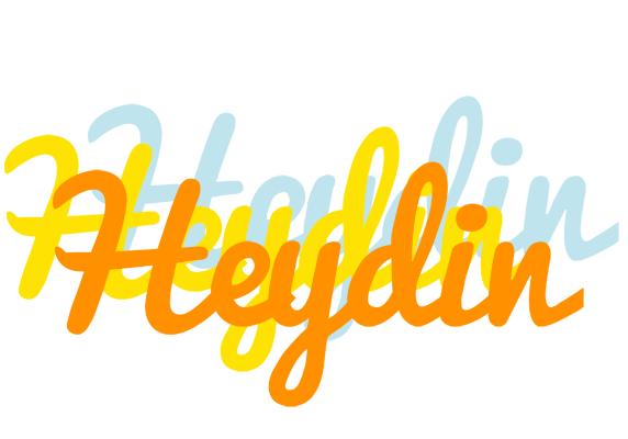 Heydin energy logo