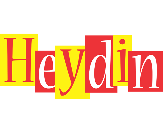 Heydin errors logo