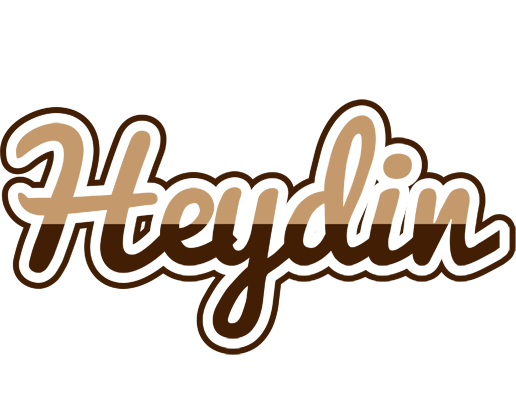 Heydin exclusive logo