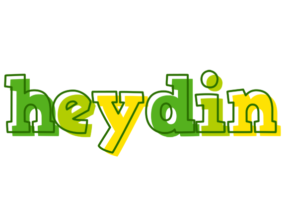 Heydin juice logo