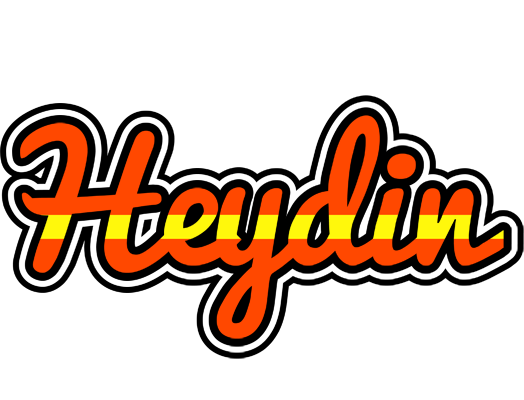 Heydin madrid logo