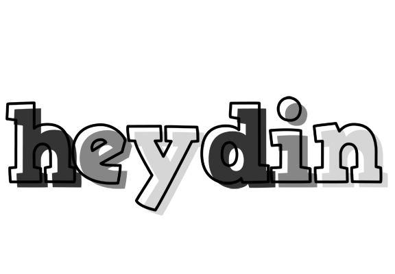 Heydin night logo
