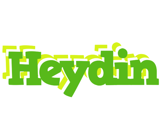 Heydin picnic logo