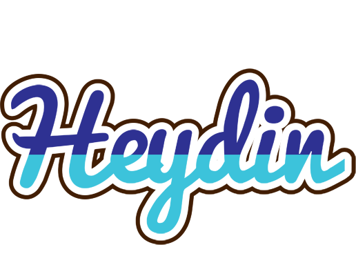 Heydin raining logo