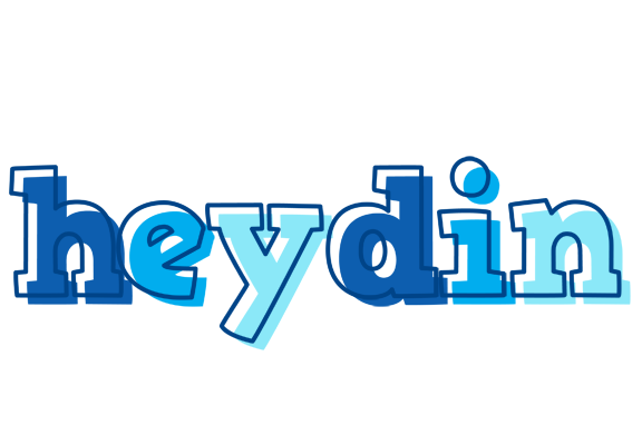 Heydin sailor logo