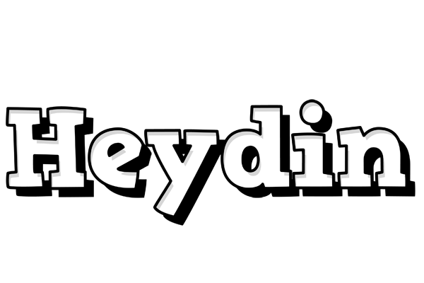 Heydin snowing logo