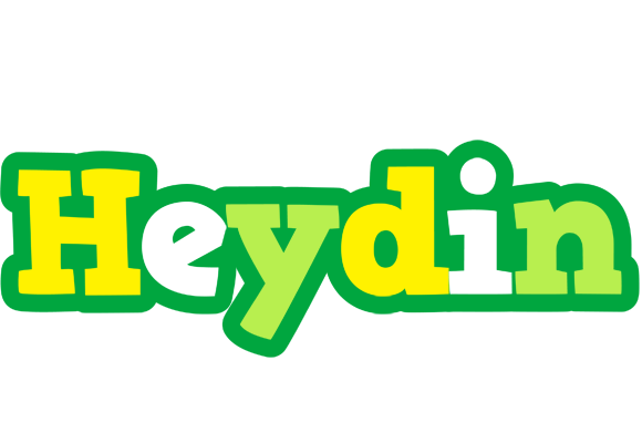 Heydin soccer logo