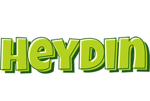 Heydin summer logo