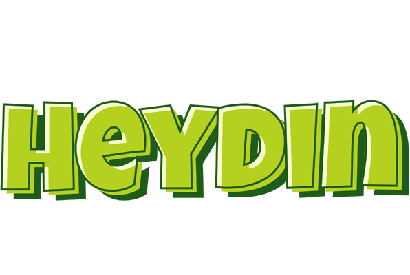 Heydin summer logo