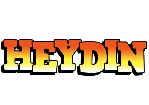Heydin sunset logo