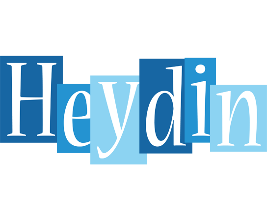 Heydin winter logo