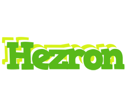 Hezron picnic logo