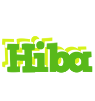 Hiba picnic logo