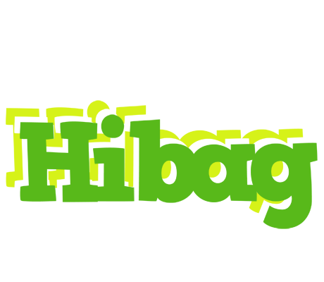 Hibag picnic logo