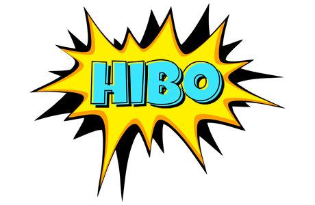 Hibo indycar logo