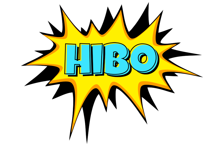 Hibo indycar logo
