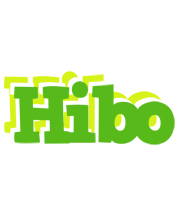 Hibo picnic logo