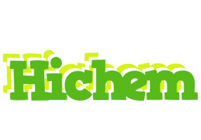 Hichem picnic logo