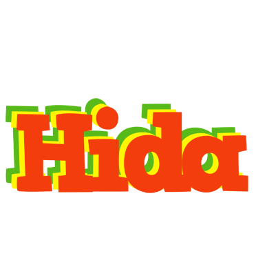 Hida bbq logo