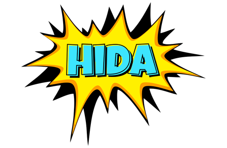 Hida indycar logo