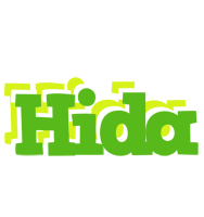 Hida picnic logo