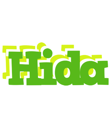 Hida picnic logo