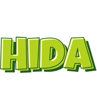 Hida summer logo