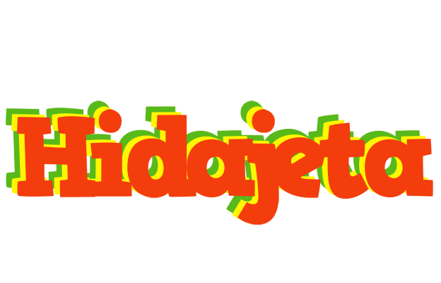 Hidajeta bbq logo