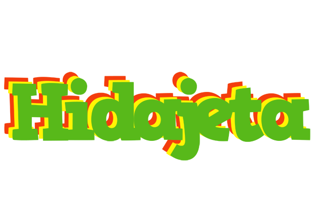 Hidajeta crocodile logo