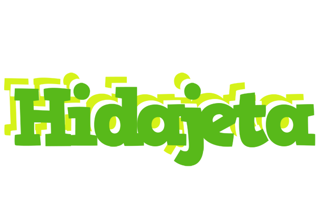 Hidajeta picnic logo