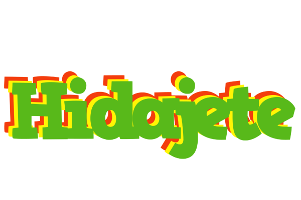 Hidajete crocodile logo