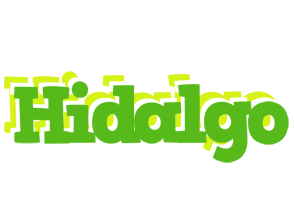 Hidalgo picnic logo