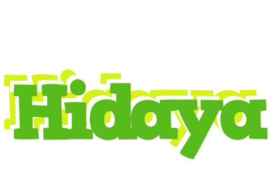 Hidaya picnic logo
