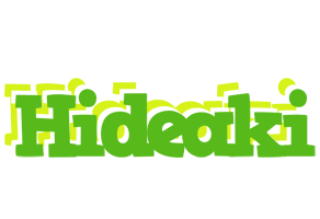 Hideaki picnic logo