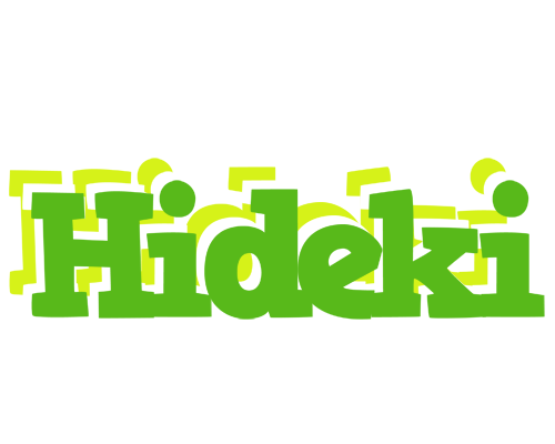 Hideki picnic logo