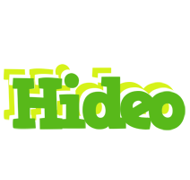 Hideo picnic logo