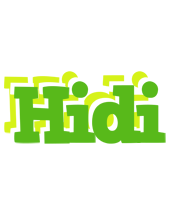 Hidi picnic logo
