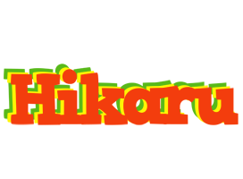 Hikaru bbq logo