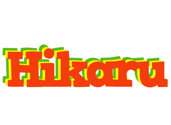Hikaru bbq logo