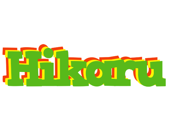 Hikaru crocodile logo